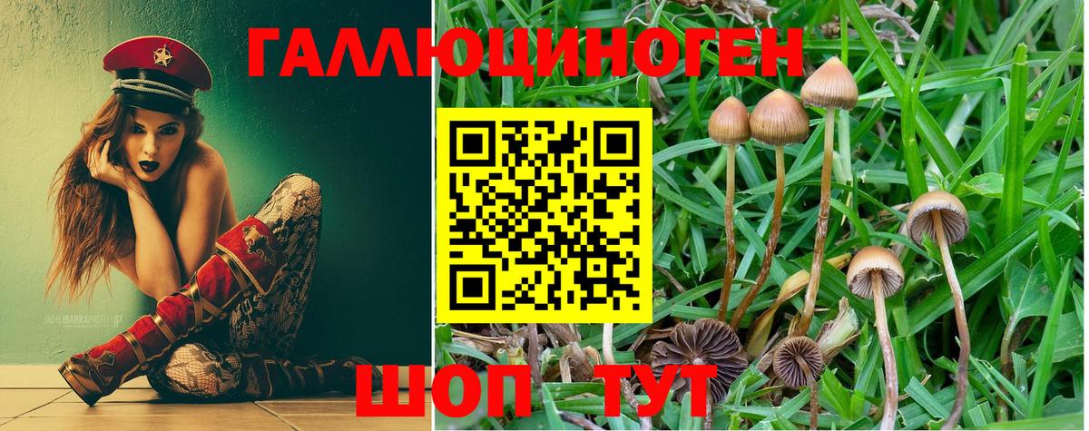Псилоцибиновые грибы MAGIC MUSHROOMS Тула