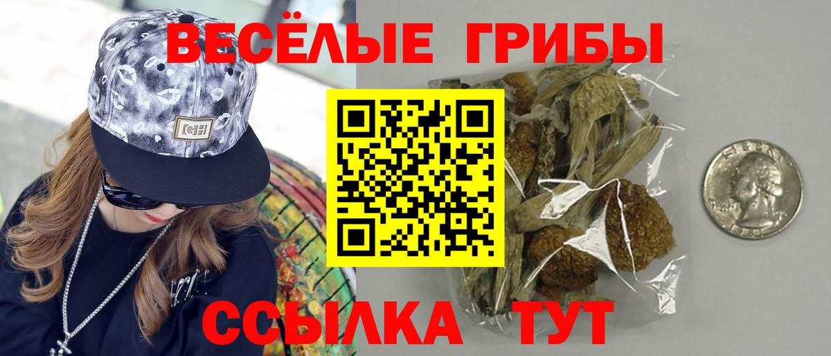 Тула  Псилоцибиновые грибы ЛСД  Вход с VPN 